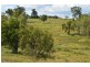 20 Schadwell Road, Blenheim QLD 4341