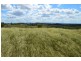 20 Schadwell Road, Blenheim QLD 4341