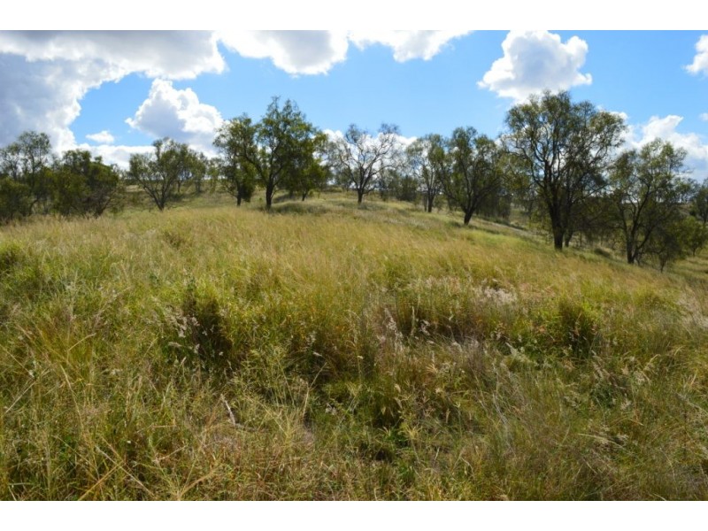 20 Schadwell Road, Blenheim QLD 4341