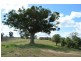 20 Schadwell Road, Blenheim QLD 4341