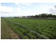 Laidley South QLD 4341