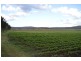 Laidley South QLD 4341