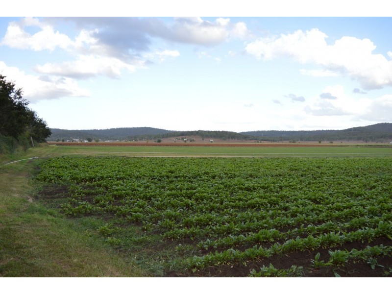 Laidley South QLD 4341