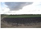 Laidley South QLD 4341