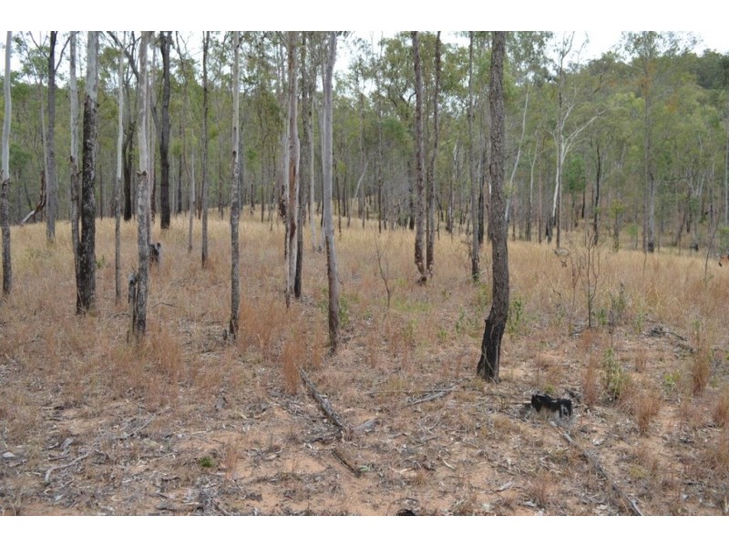 Ringwood QLD 4343