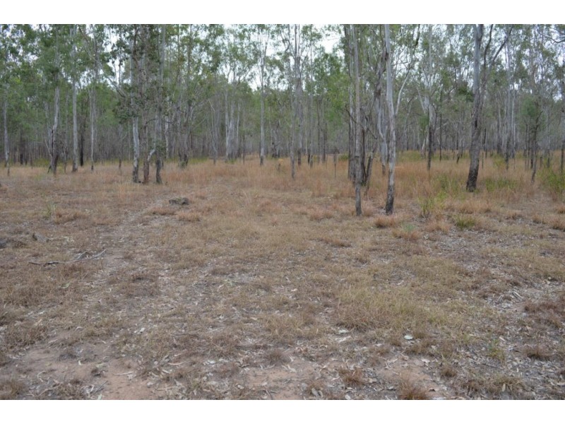 Ringwood QLD 4343