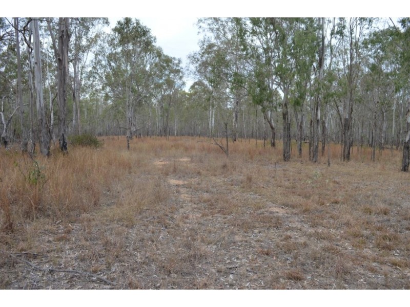 Ringwood QLD 4343