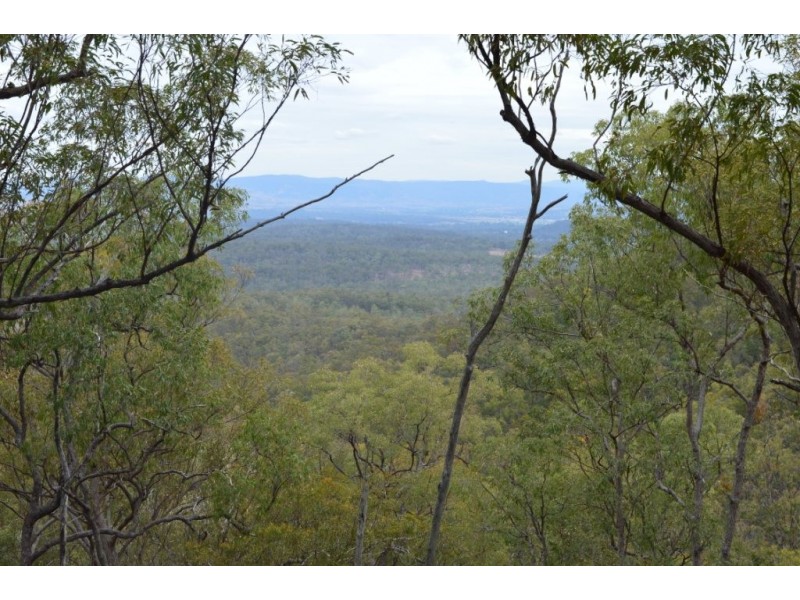 Ringwood QLD 4343