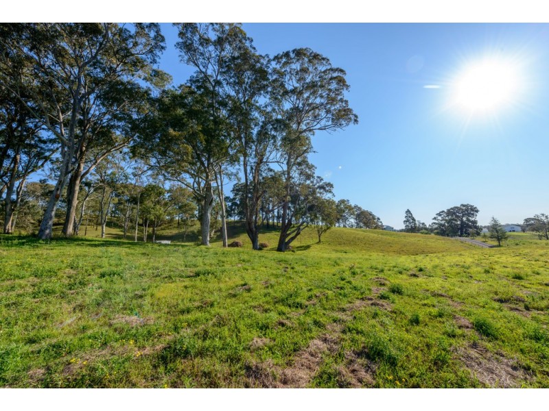 330 Rapleys Loop Road, Werombi NSW 2570