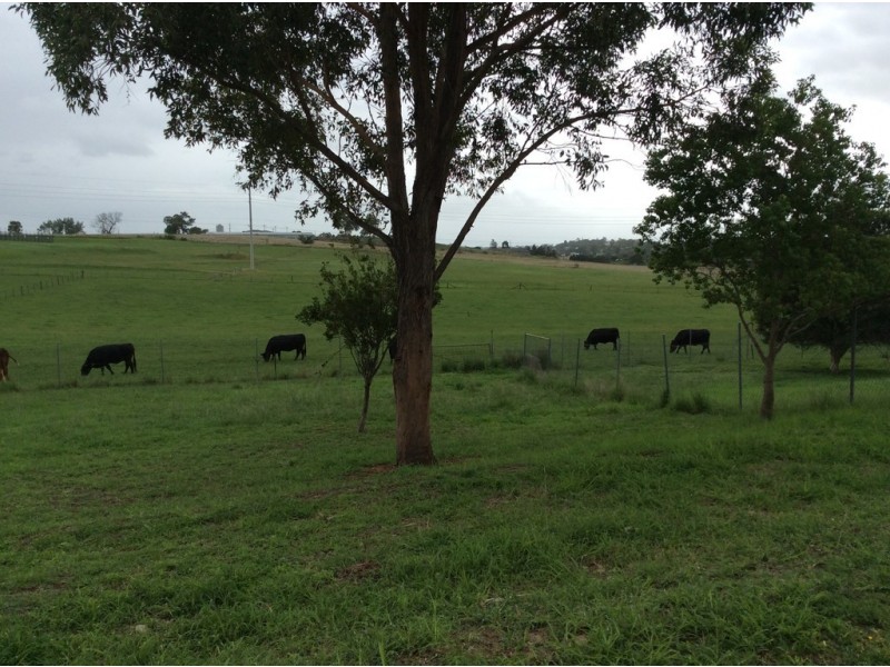 Cawdor NSW 2570