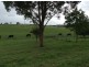 Cawdor NSW 2570