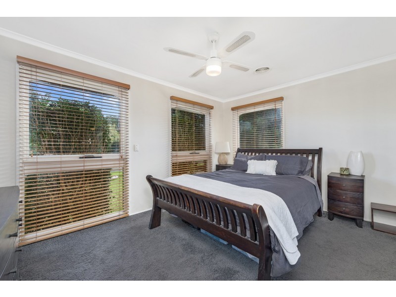 50 Bligh Avenue, Camden South NSW 2570
