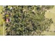 145 ROTHERWOOD ROAD, Razorback NSW 2571