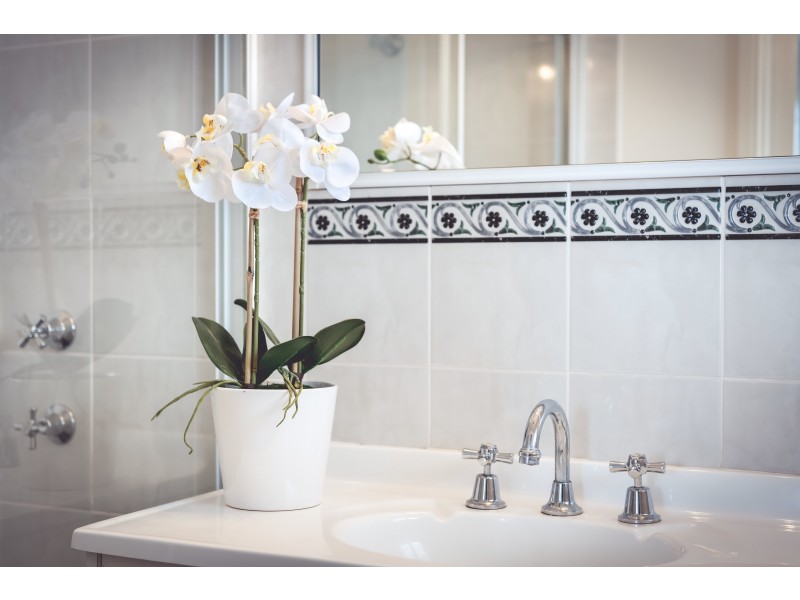 3 Royal George Drive, Harrington Park NSW 2567