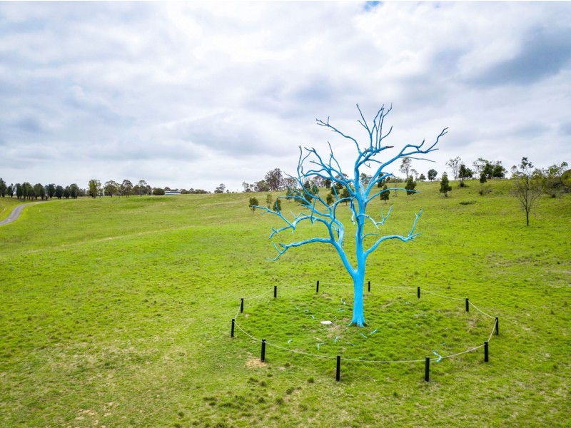 11 Caesia Way, Mount Annan NSW 2567