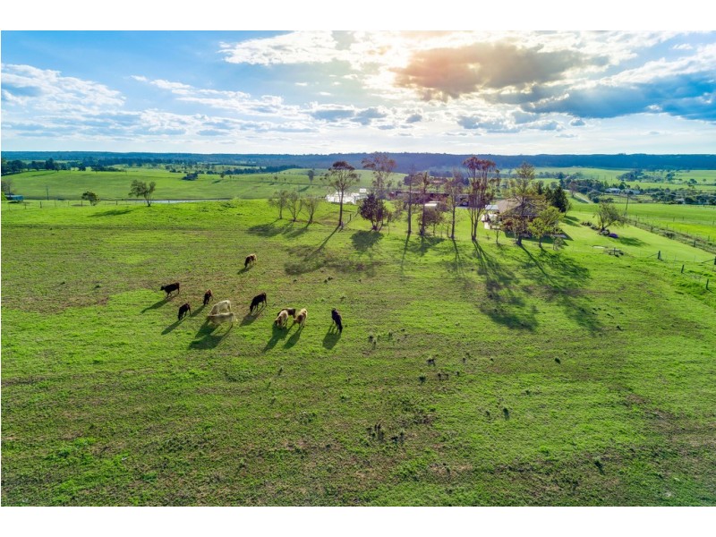 45 VICTORIA PARK ROAD, The Oaks NSW 2570