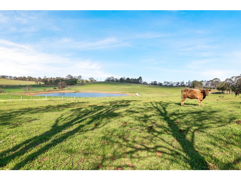 45 VICTORIA PARK ROAD, The Oaks NSW 2570