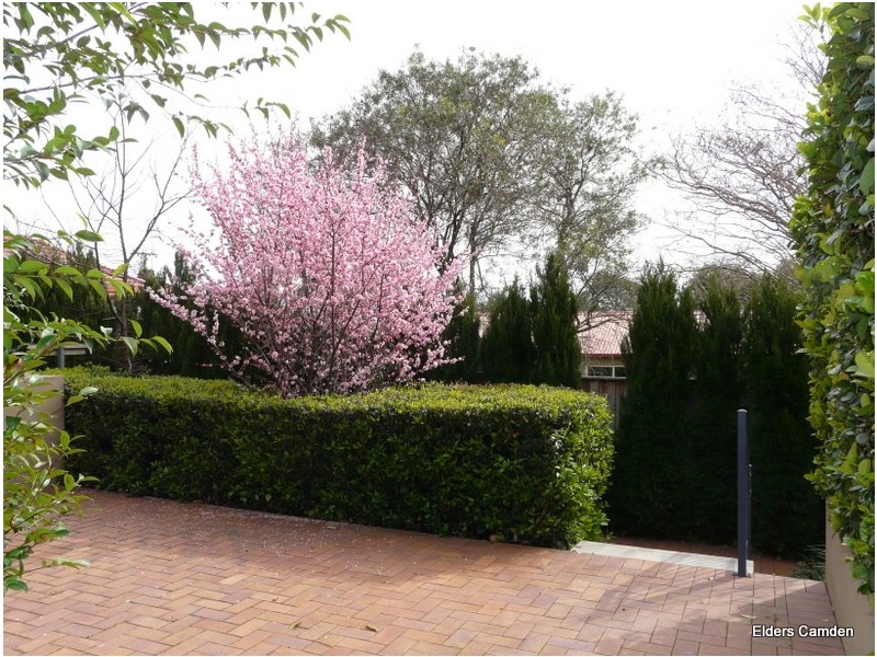 30/1-7 Barsden Street, Camden NSW 2570