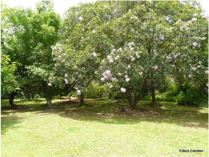 38 Old Hume Highway, Camden NSW 2570