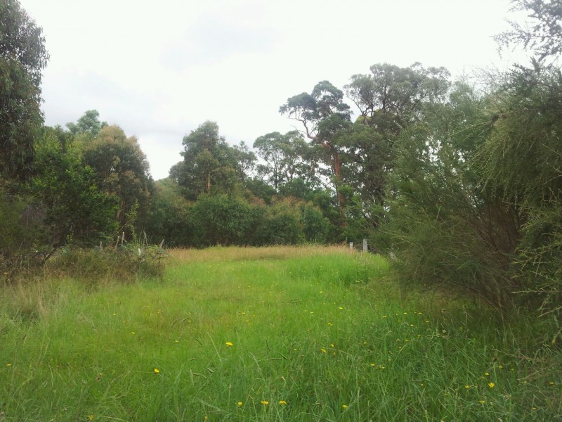 15 Dairy Road, The Oaks NSW 2570