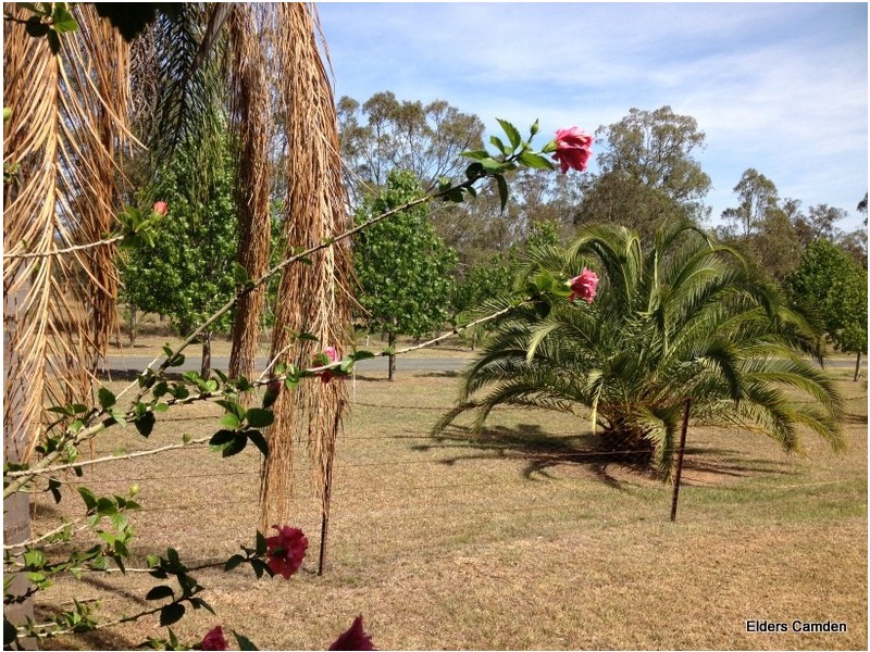 Flat 730 Cuthill Road, Cobbitty NSW 2570