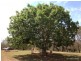 Flat 730 Cuthill Road, Cobbitty NSW 2570