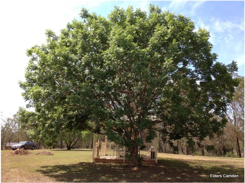 Flat 730 Cuthill Road, Cobbitty NSW 2570