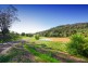 Menangle NSW 2568