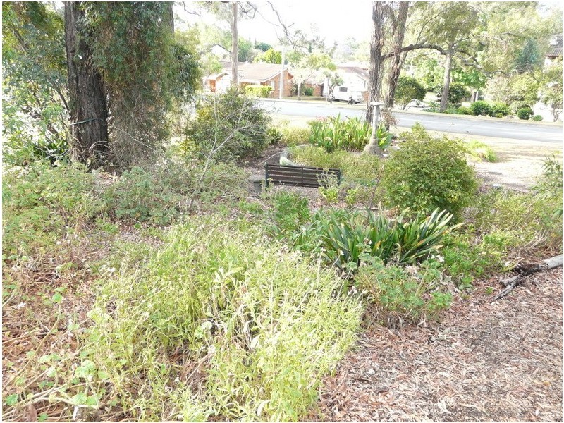 25 Elizabeth Macarthur Avenue, Camden South NSW 2570