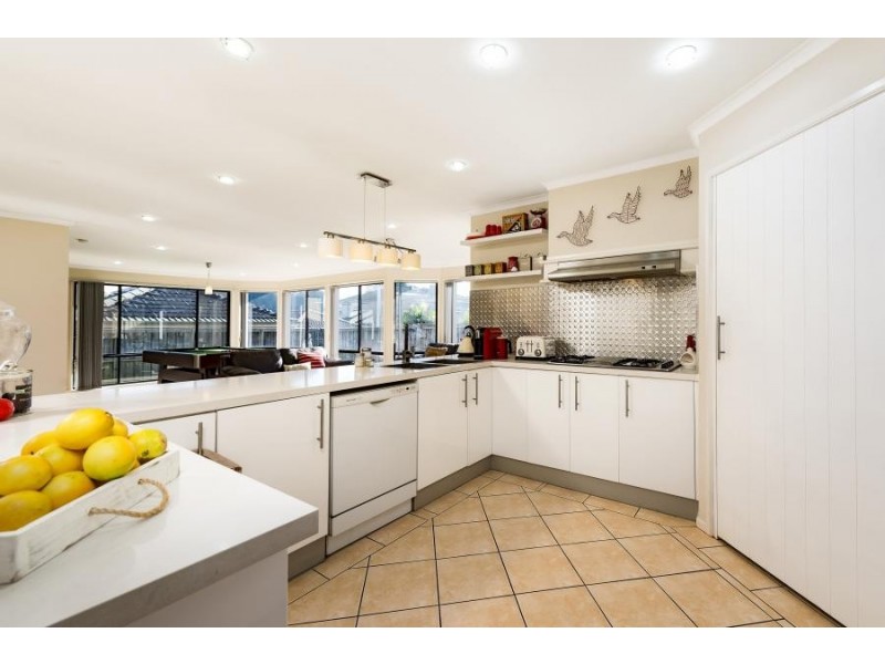 6 Spoonbill Way, Mount Annan NSW 2567