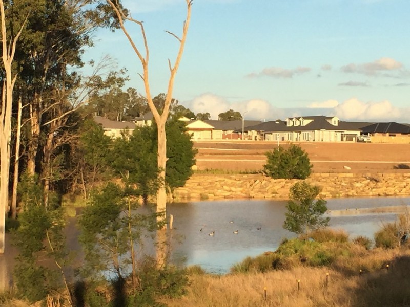 Lot 4314 Burrell Road, Spring Farm NSW 2570