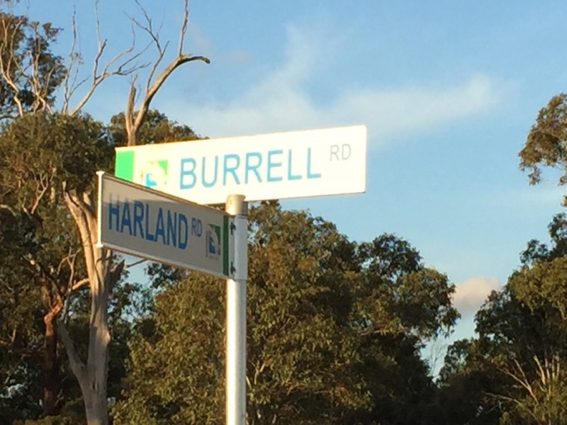 Lot 4314 Burrell Road, Spring Farm NSW 2570