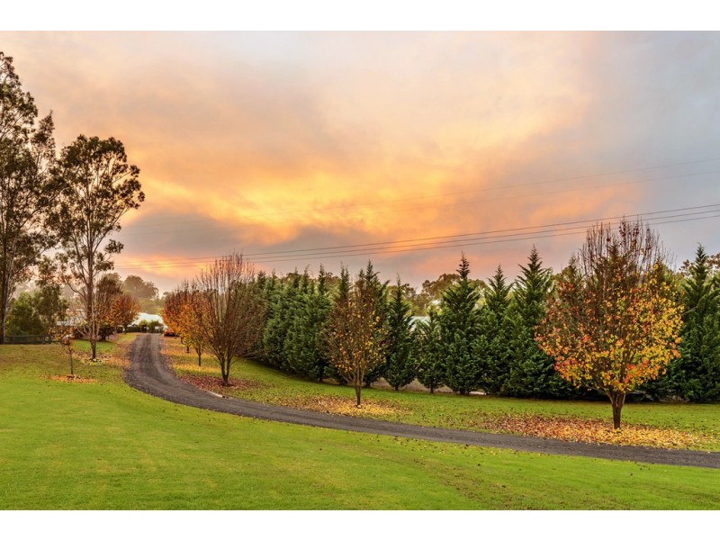 Lot 19/100 Nectarbrook Drive, Theresa Park NSW 2570