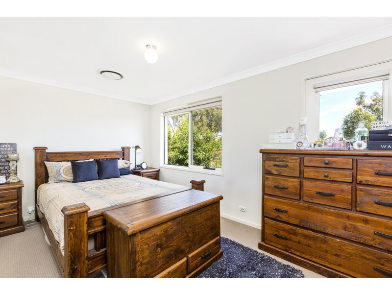 31 IRVINE STREET, Elderslie NSW 2570