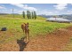 260 Camena Road, Natone TAS 7321
