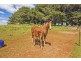 260 Camena Road, Natone TAS 7321