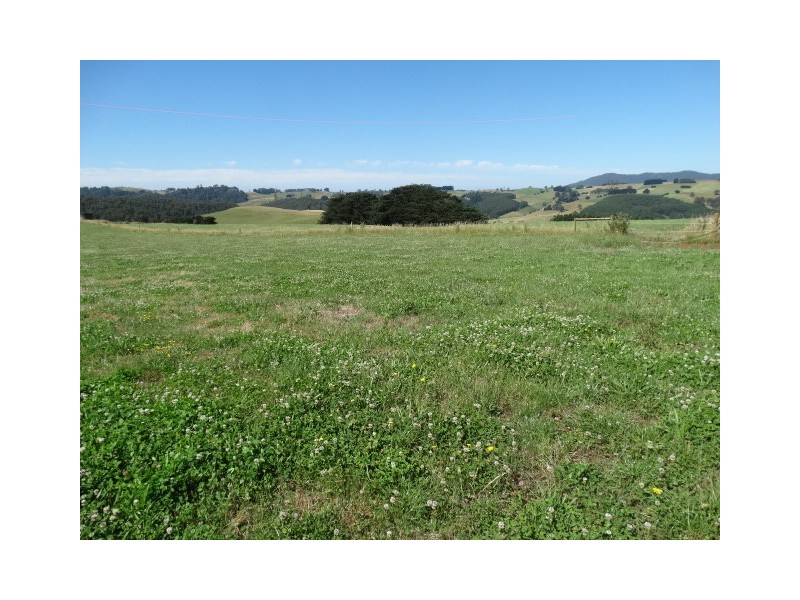 260 Camena Road, Natone TAS 7321