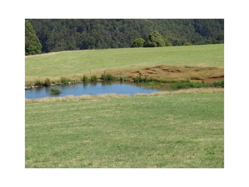 260 Camena Road, Natone TAS 7321