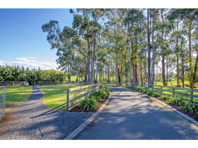 141 Mount Hicks Road, Wynyard TAS 7325