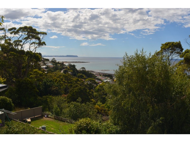 22 Seaview Avenue, Parklands TAS 7320