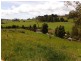 199 Fists Lane, Boat Harbour TAS 7321