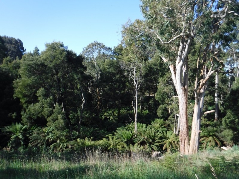 199 Fists Lane, Boat Harbour TAS 7321
