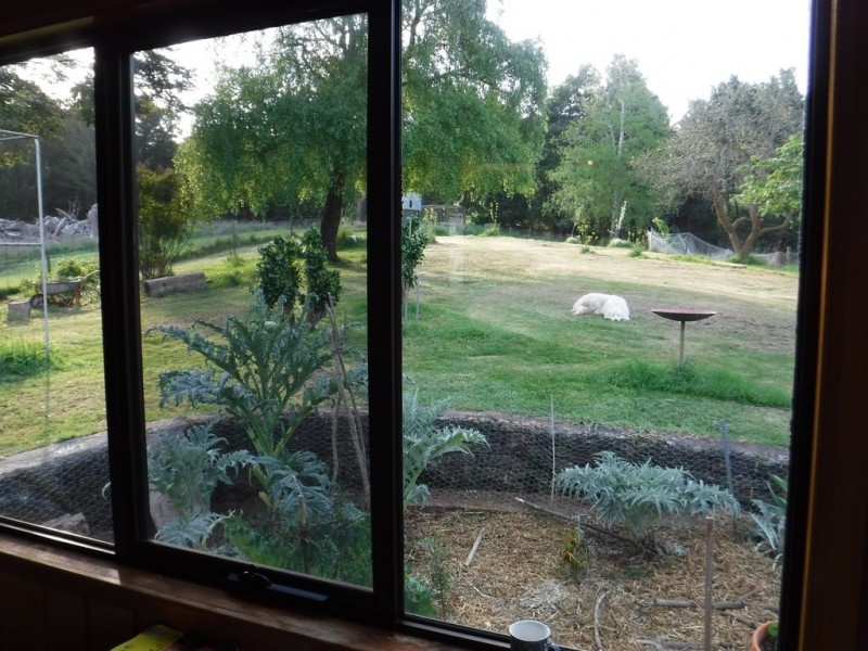 199 Fists Lane, Boat Harbour TAS 7321