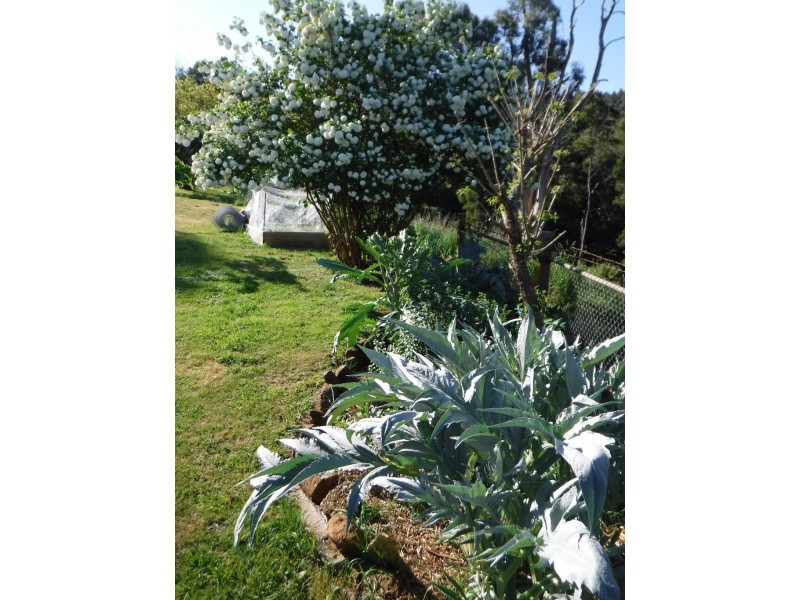 199 Fists Lane, Boat Harbour TAS 7321