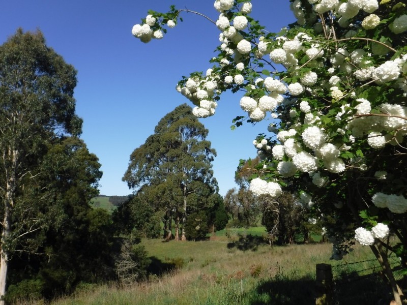 199 Fists Lane, Boat Harbour TAS 7321