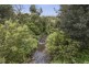 19 Lowries Road, Oldina TAS 7325