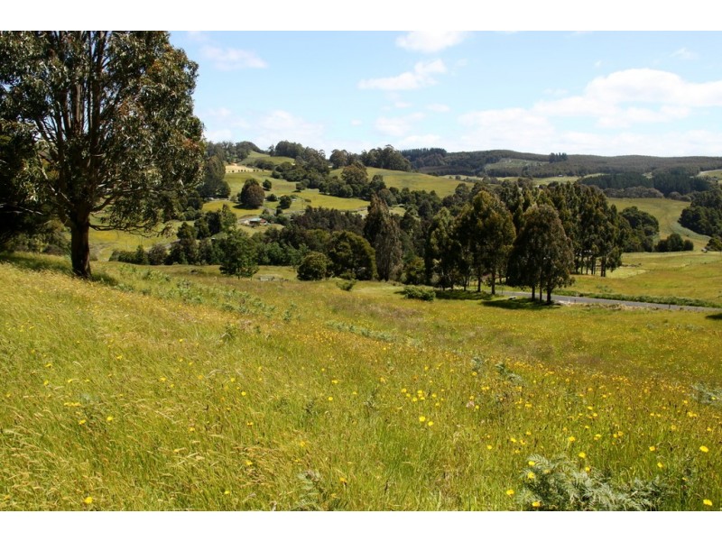 19 Lowries Road, Oldina TAS 7325