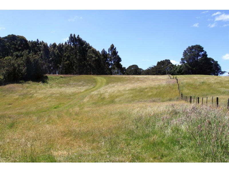 19 Lowries Road, Oldina TAS 7325