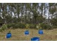 19 Lowries Road, Oldina TAS 7325
