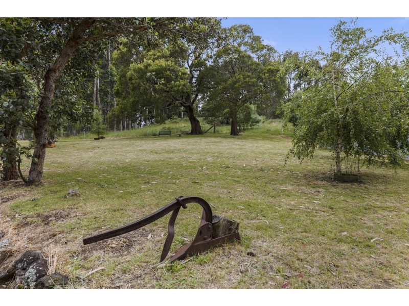 19 Lowries Road, Oldina TAS 7325